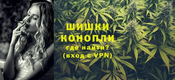 МДПВ Инта